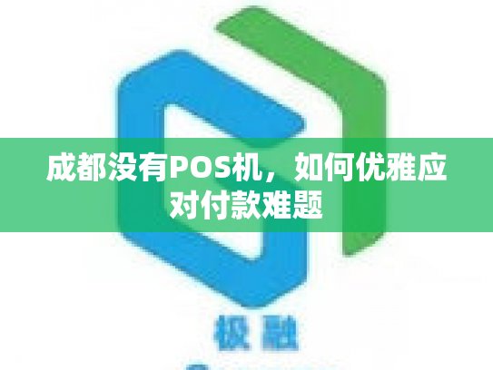 成都没有POS机，如何优雅应对付款难题