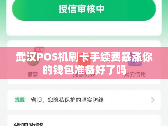 武汉POS机刷卡手续费暴涨你的钱包准备好了吗