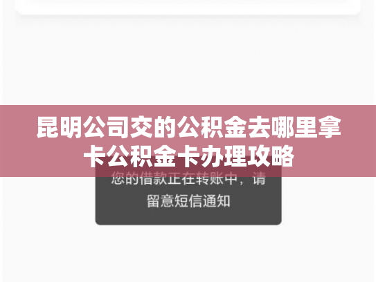 昆明公司交的公积金去哪里拿卡公积金卡办理攻略