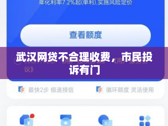 武汉网贷不合理收费，市民投诉有门