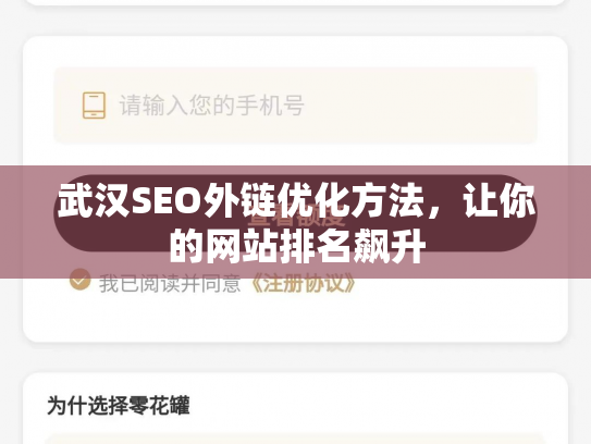 武汉SEO外链优化方法，让你的网站排名飙升