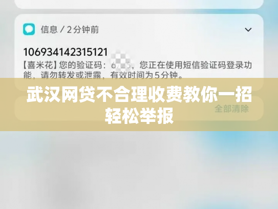 武汉网贷不合理收费教你一招轻松举报