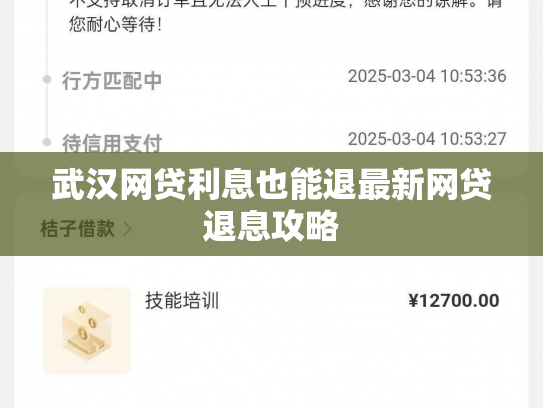 武汉网贷利息也能退最新网贷退息攻略