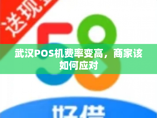 武汉POS机费率变高，商家该如何应对