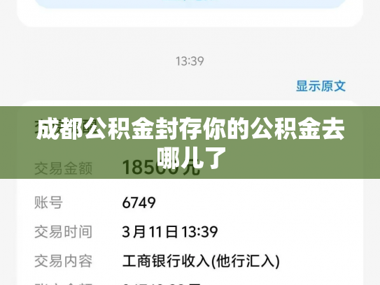 成都公积金封存你的公积金去哪儿了