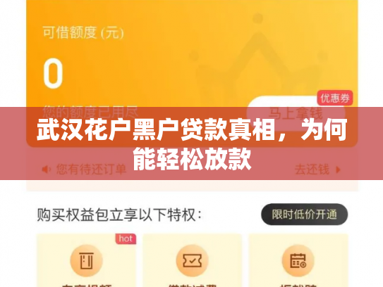武汉花户黑户贷款真相，为何能轻松放款