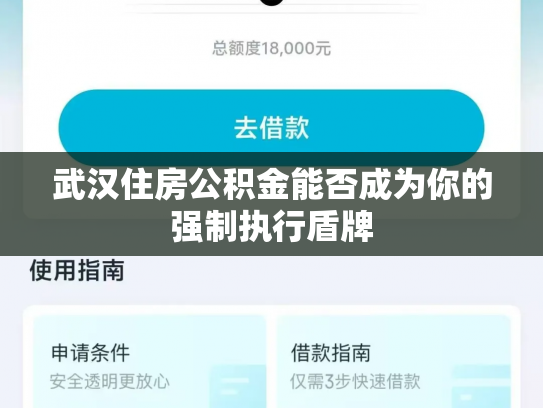 武汉住房公积金能否成为你的强制执行盾牌
