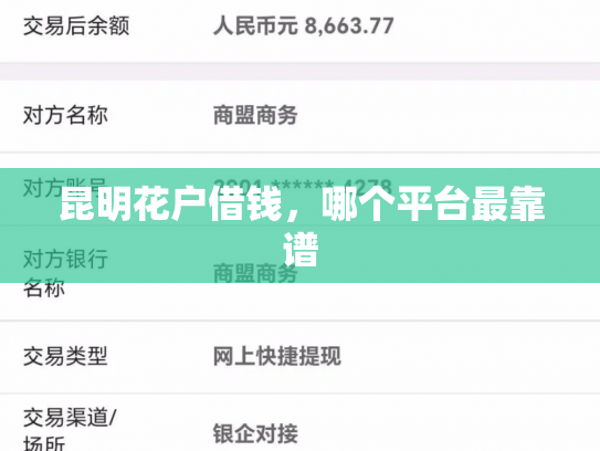 昆明花户借钱，哪个平台最靠谱