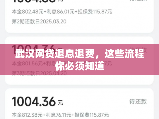 武汉网贷退息退费，这些流程你必须知道