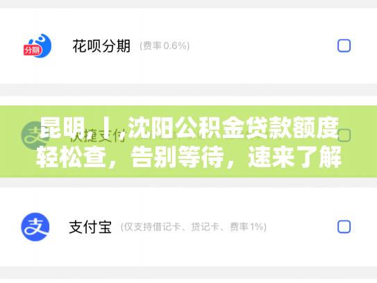 昆明,丨,沈阳公积金贷款额度轻松查，告别等待，速来了解