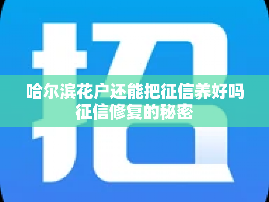 哈尔滨花户还能把征信养好吗征信修复的秘密