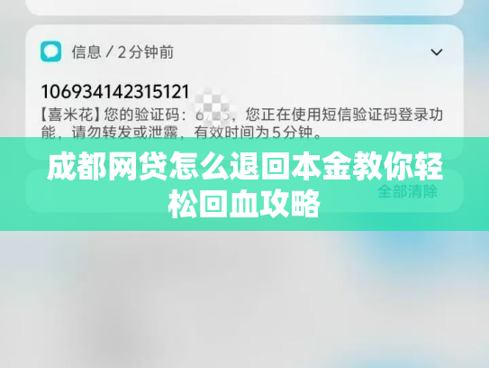 成都网贷怎么退回本金教你轻松回血攻略