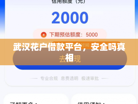武汉花户借款平台，安全吗真相