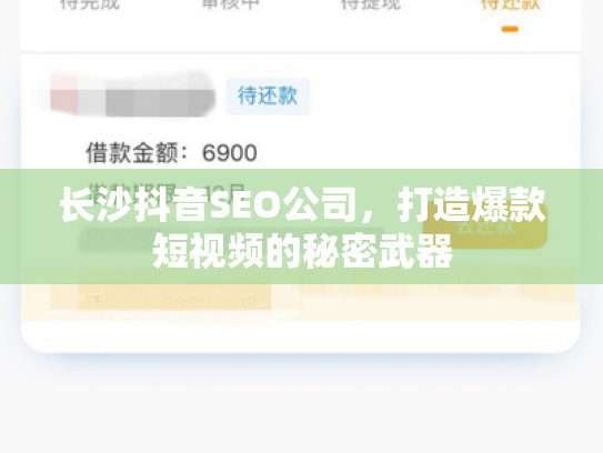 长沙抖音SEO公司，打造爆款短视频的秘密武器