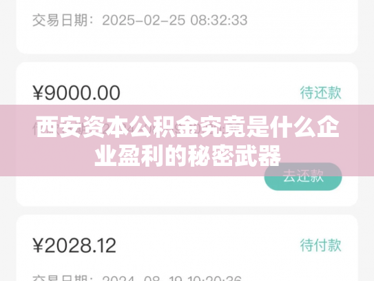 西安资本公积金究竟是什么企业盈利的秘密武器