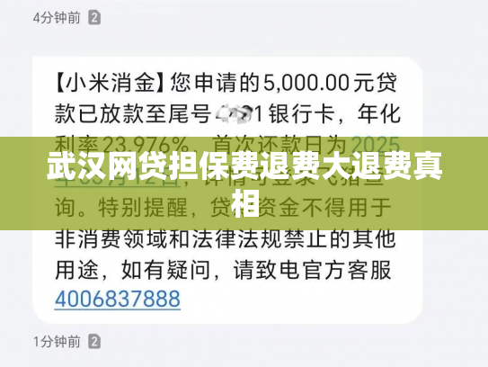 武汉网贷担保费退费大退费真相