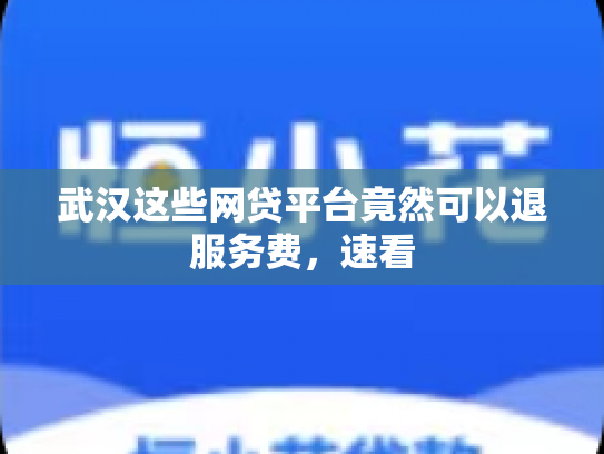 武汉这些网贷平台竟然可以退服务费，速看