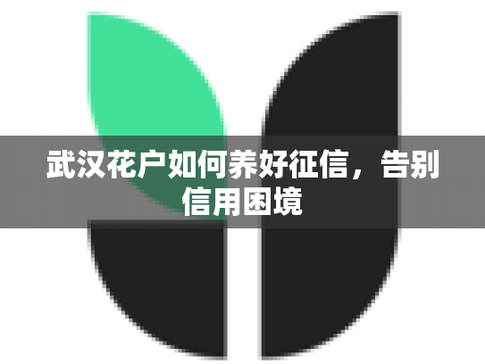 武汉花户如何养好征信，告别信用困境