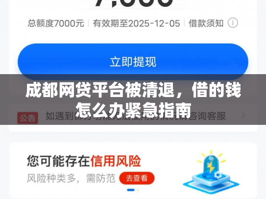 成都网贷平台被清退，借的钱怎么办紧急指南