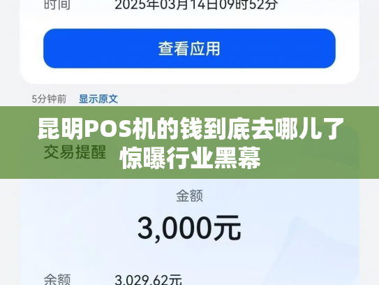 昆明POS机的钱到底去哪儿了惊曝行业黑幕