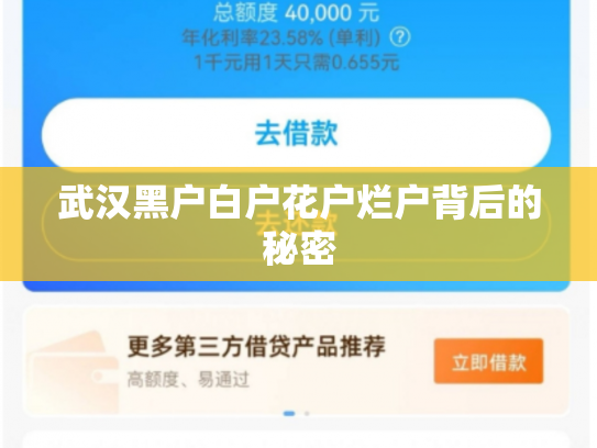 武汉黑户白户花户烂户背后的秘密