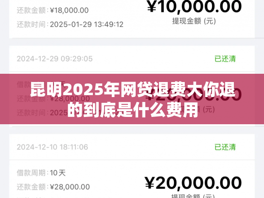 昆明2025年网贷退费大你退的到底是什么费用