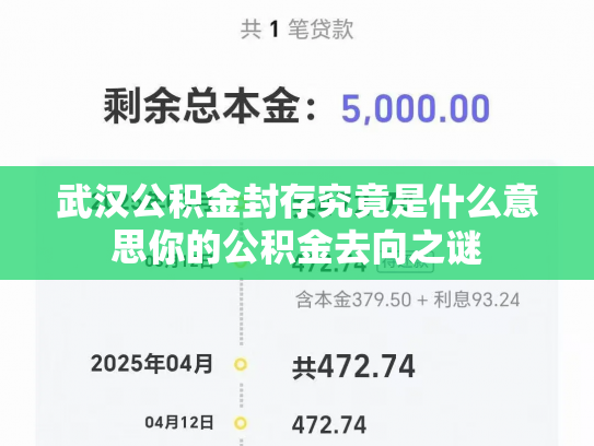 武汉公积金封存究竟是什么意思你的公积金去向之谜