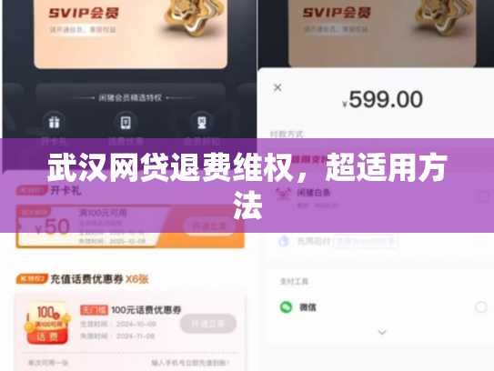 武汉网贷退费维权，超适用方法