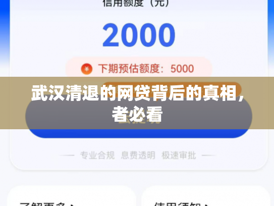 武汉清退的网贷背后的真相，者必看