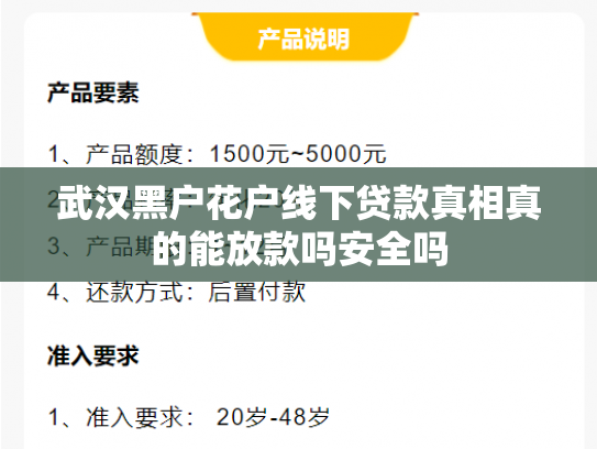 武汉黑户花户线下贷款真相真的能放款吗安全吗