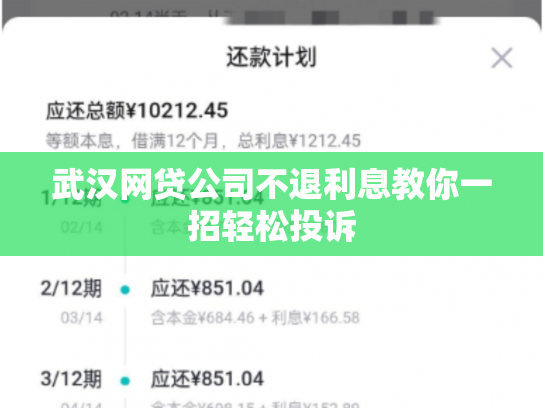 武汉网贷公司不退利息教你一招轻松投诉