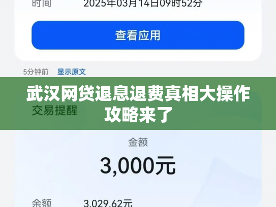 武汉网贷退息退费真相大操作攻略来了