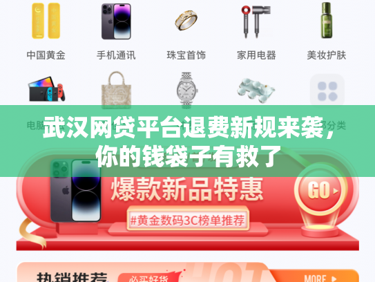 武汉网贷平台退费新规来袭，你的钱袋子有救了