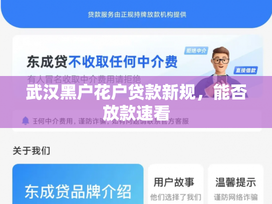 武汉黑户花户贷款新规，能否放款速看