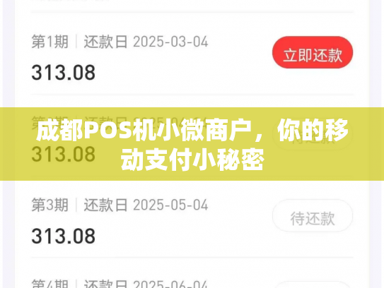 成都POS机小微商户，你的移动支付小秘密