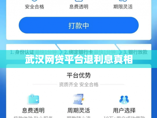 武汉网贷平台退利息真相
