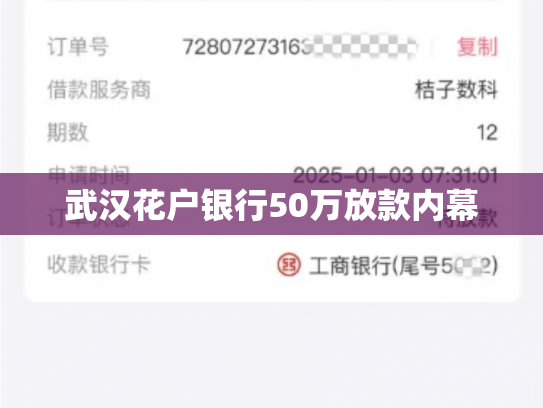 武汉花户银行50万放款内幕