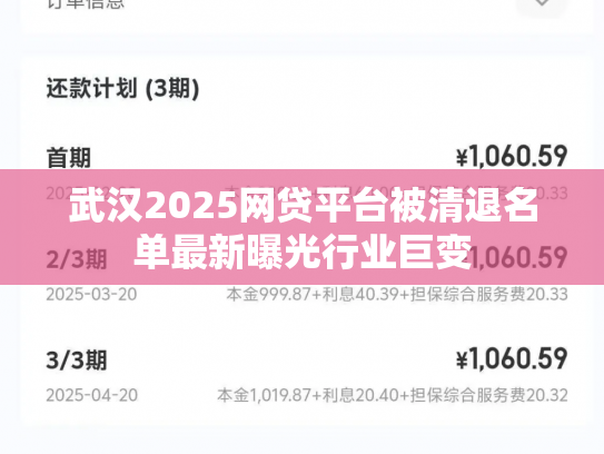 武汉2025网贷平台被清退名单最新曝光行业巨变