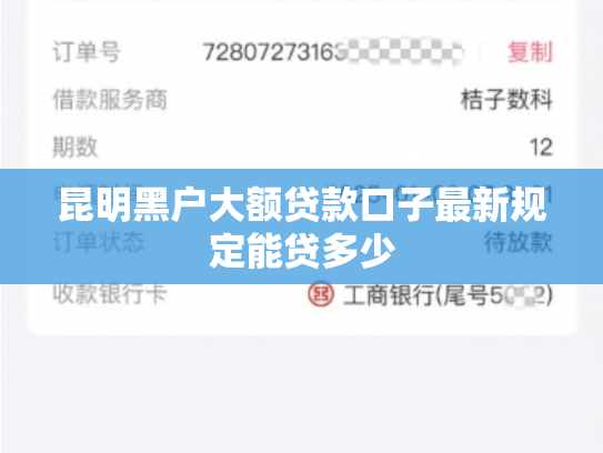 昆明黑户大额贷款口子最新规定能贷多少