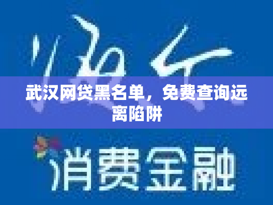 武汉网贷黑名单，免费查询远离陷阱