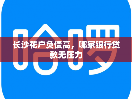 长沙花户负债高，哪家银行贷款无压力