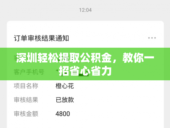 深圳轻松提取公积金，教你一招省心省力