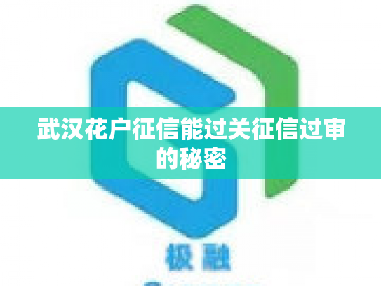 武汉花户征信能过关征信过审的秘密