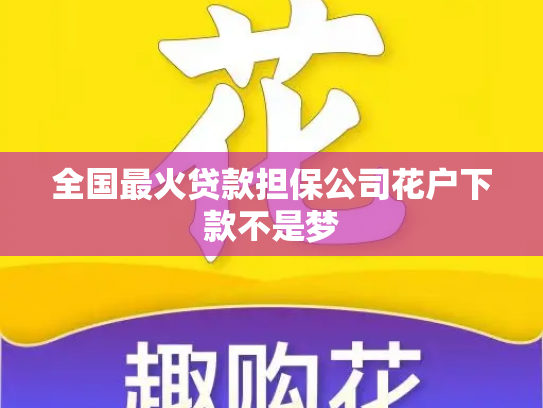 全国最火贷款担保公司花户下款不是梦