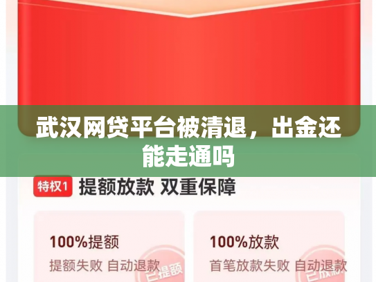 武汉网贷平台被清退，出金还能走通吗