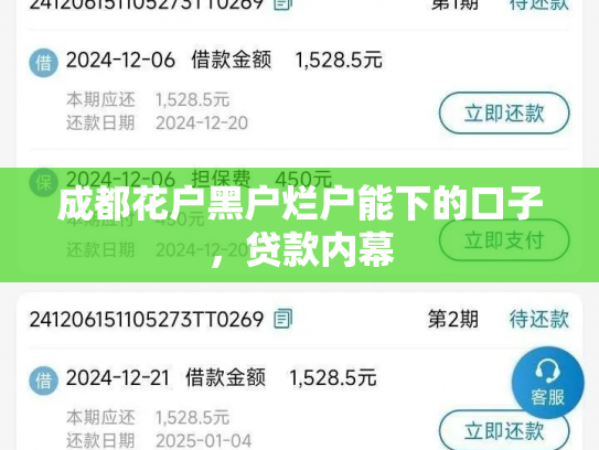 成都花户黑户烂户能下的口子，贷款内幕