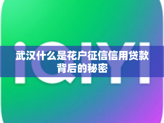 武汉什么是花户征信信用贷款背后的秘密