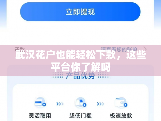 武汉花户也能轻松下款，这些平台你了解吗
