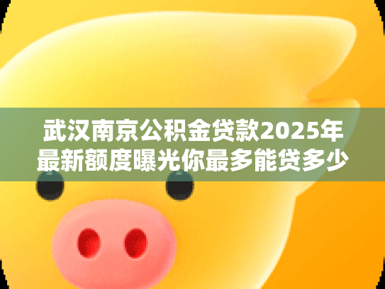 武汉南京公积金贷款2025年最新额度曝光你最多能贷多少