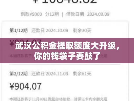 武汉公积金提取额度大升级，你的钱袋子要鼓了